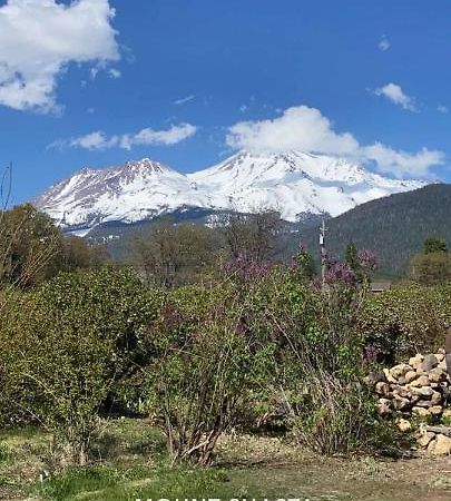 Angel Cottage With A Sauna Or The Cozy With A Jacuzzi Tub, Both Are Studios With A View Of Mount Shasta Dış mekan fotoğraf