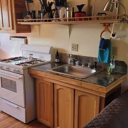 Angel Cottage With A Sauna Or The Cozy With A Jacuzzi Tub, Both Are Studios With A View Of Mount Shasta Dış mekan fotoğraf