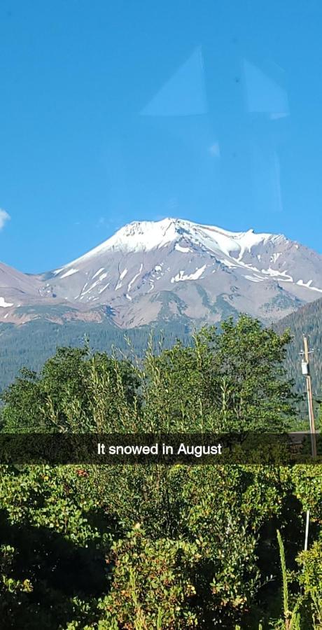 Angel Cottage With A Sauna Or The Cozy With A Jacuzzi Tub, Both Are Studios With A View Of Mount Shasta Dış mekan fotoğraf