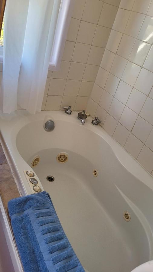 Angel Cottage With A Sauna Or The Cozy With A Jacuzzi Tub, Both Are Studios With A View Of Mount Shasta Dış mekan fotoğraf