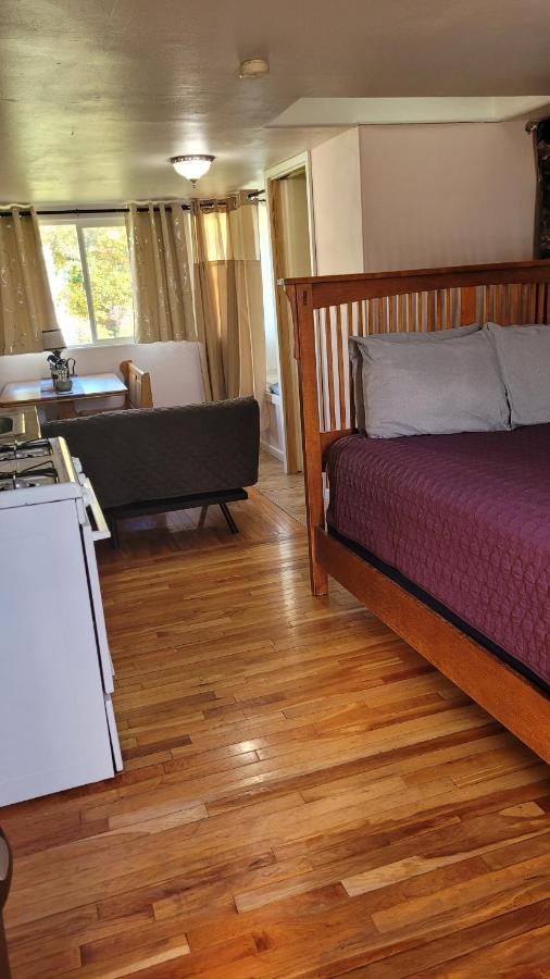 Angel Cottage With A Sauna Or The Cozy With A Jacuzzi Tub, Both Are Studios With A View Of Mount Shasta Dış mekan fotoğraf