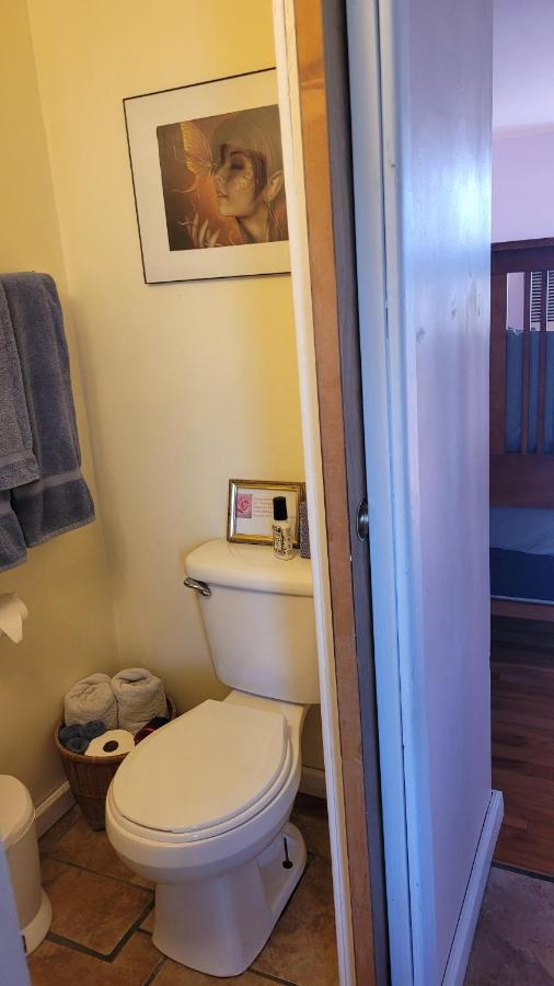 Angel Cottage With A Sauna Or The Cozy With A Jacuzzi Tub, Both Are Studios With A View Of Mount Shasta Dış mekan fotoğraf